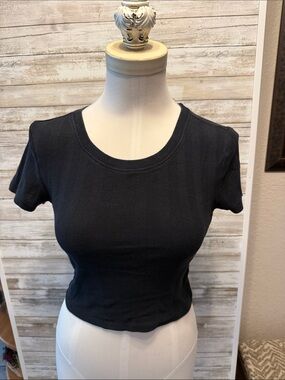 Pacsun Classic Black Ribbed Short Sleeve Crop Top small